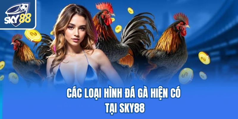 Các loại hình đá gà hiện có tại Sky88