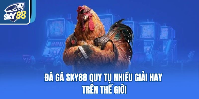 Đá gà Sky88 quy tụ nhiều giải hay trên thế giới