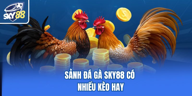 Sảnh đá gà Sky88 có nhiều kèo hay