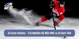 Cá Cược Hockey - Trải Nghiệm Bộ Môn Mới Lạ Và Kịch Tính