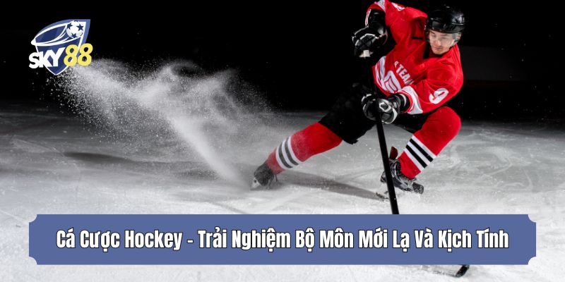Cá Cược Hockey - Trải Nghiệm Bộ Môn Mới Lạ Và Kịch Tính
