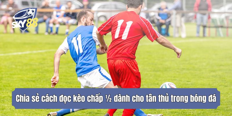 Chia sẻ cách đọc kèo chấp ½ dành cho tân thủ trong bóng đá