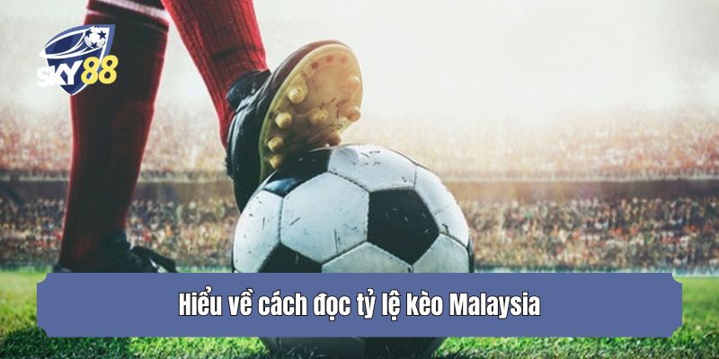 Hiểu về cách đọc tỷ lệ kèo Malaysia
