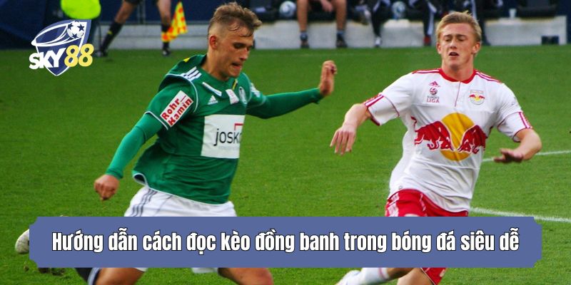 Hướng dẫn cách đọc kèo đồng banh trong bóng đá siêu dễ