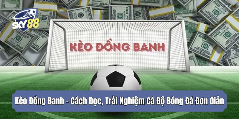 Kèo Đồng Banh - Cách Đọc, Trải Nghiệm Cá Độ Bóng Đá Đơn Giản