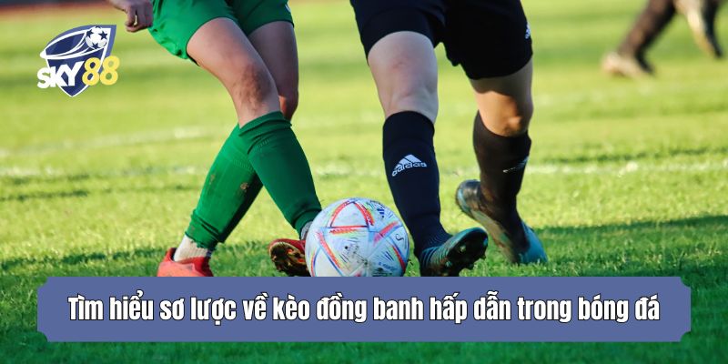 Tìm hiểu sơ lược về kèo đồng banh hấp dẫn trong bóng đá