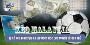 Tỷ Lệ Kèo Malaysia Là Gì? Cách Đọc Cực Chuẩn Từ Cao Thủ